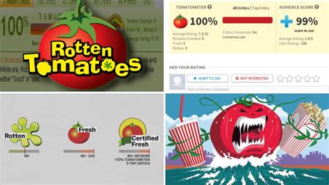 rotten tomatoes meaning|is high rotten tomatoes good.